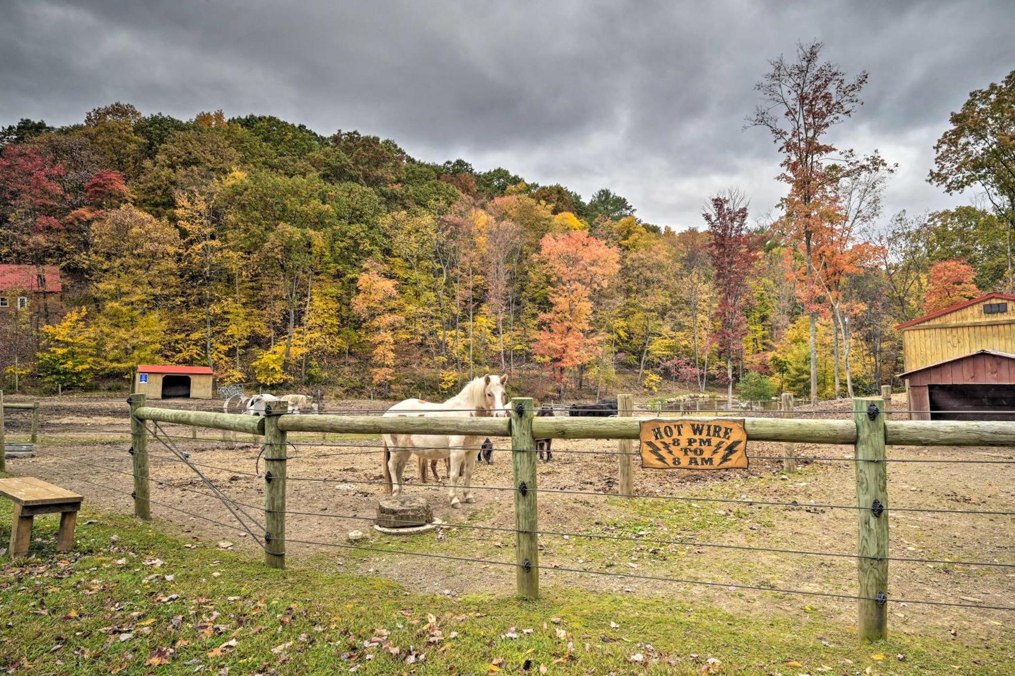 Lucas Mccain Cabin 5 Mi To Raystown Lake Launch! Huntingdon Zewnętrze zdjęcie