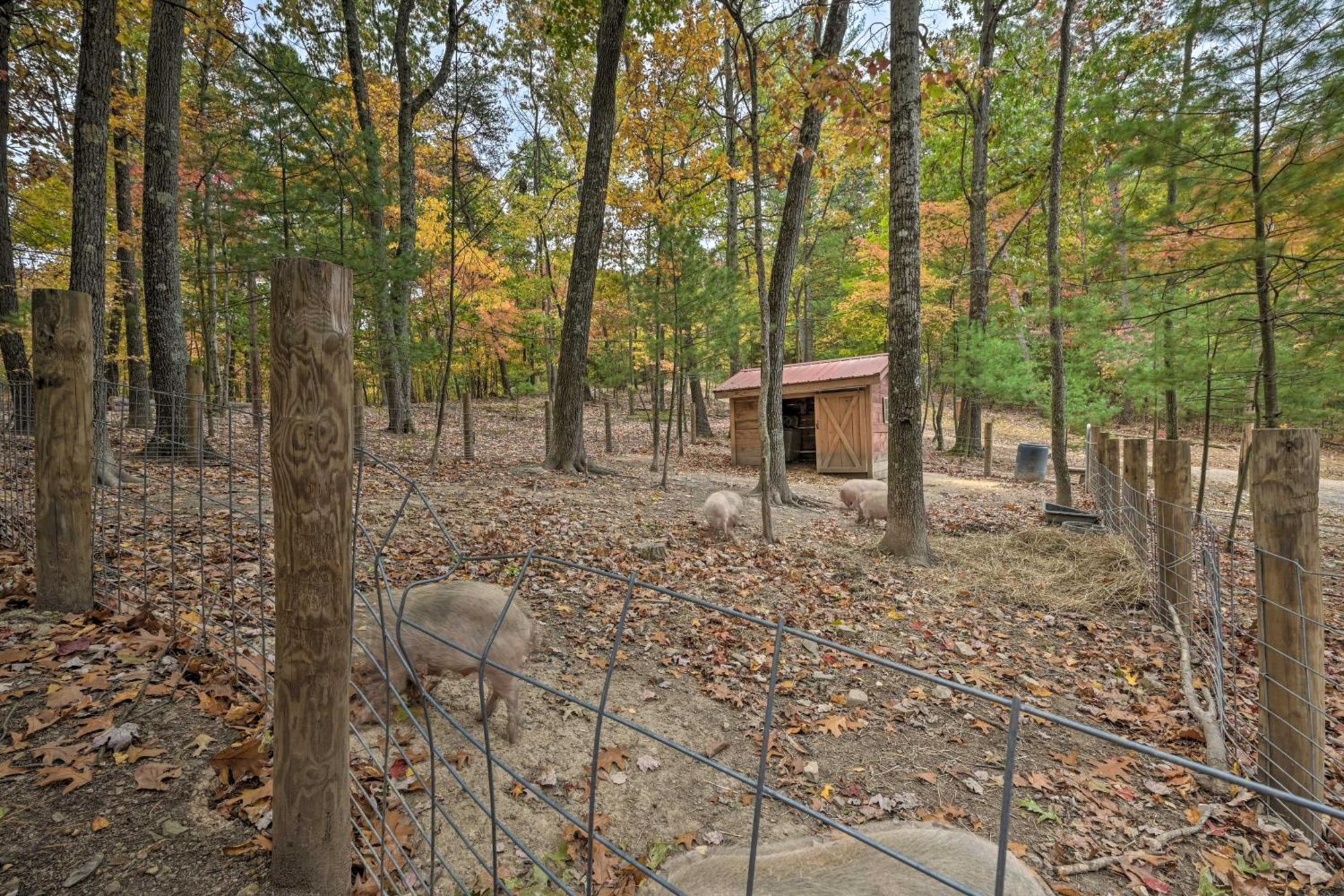 Lucas Mccain Cabin 5 Mi To Raystown Lake Launch! Huntingdon Zewnętrze zdjęcie
